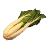 bok choy